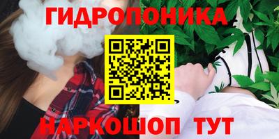 спиды Краснознаменск