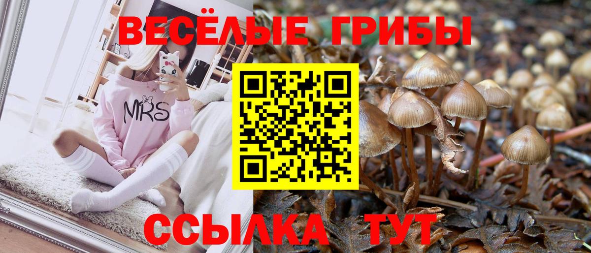 Джанкой  закладки  Вход с VPN  Псилоцибиновые грибы Cubensis  Псилоцибиновые грибы Psilocybine cubensis 