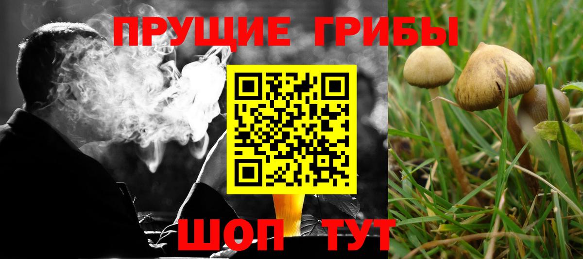 Галлюциногенные грибы прущие грибы Джанкой